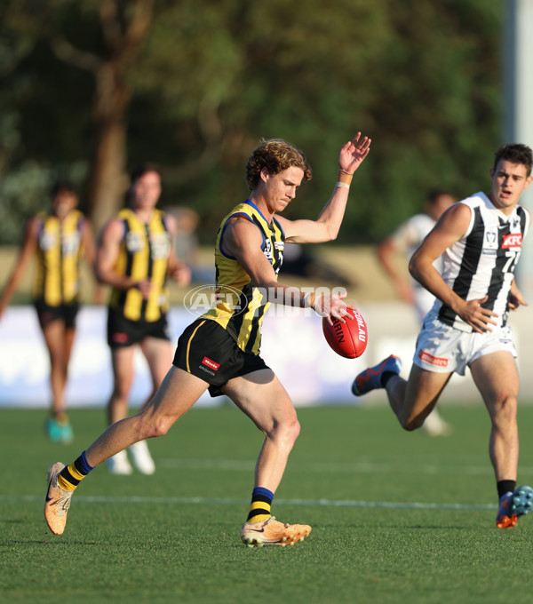 VFL 2024 Round 01 - Sandringham v Collingwood - A-46634241