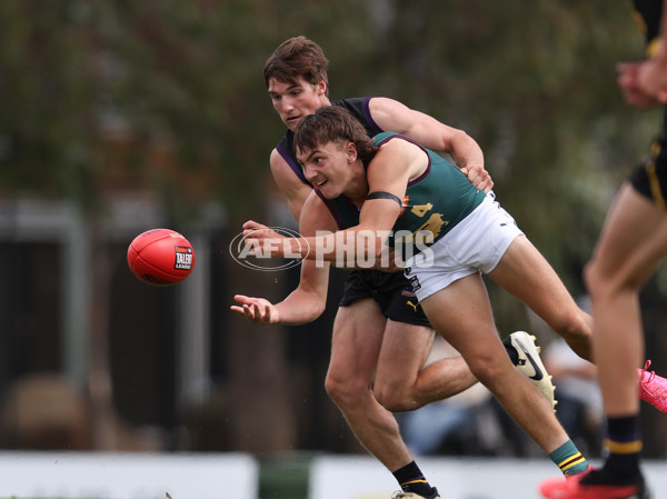 Coates League Boys 2024 - Murray Bushrangers v Tasmania Devils - A-46651627