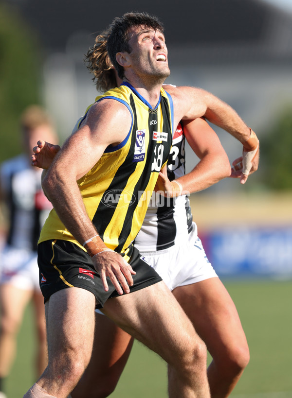 VFL 2024 Round 01 - Sandringham v Collingwood - A-46658153