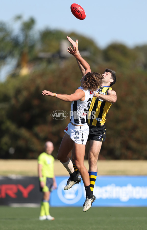 VFL 2024 Round 01 - Sandringham v Collingwood - A-46658156