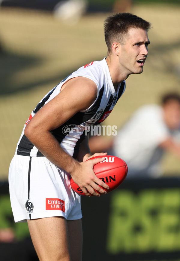 VFL 2024 Round 01 - Sandringham v Collingwood - A-46658157