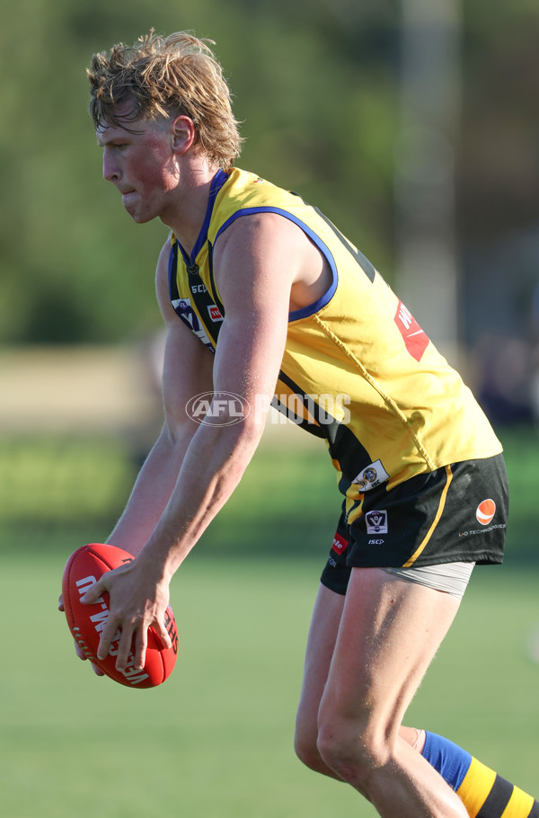 VFL 2024 Round 01 - Sandringham v Collingwood - A-46659316