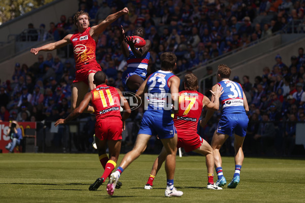 AFL 2024 Round 02 - Western Bulldogs v Gold Coast - A-46661182