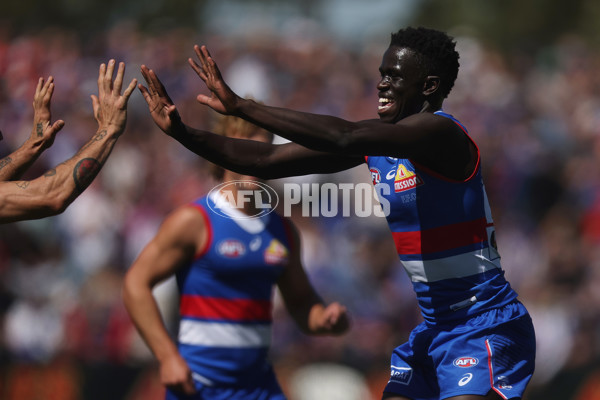 AFL 2024 Round 02 - Western Bulldogs v Gold Coast - A-46661189