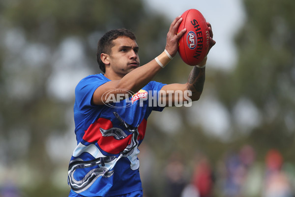 AFL 2024 Round 02 - Western Bulldogs v Gold Coast - A-46661911