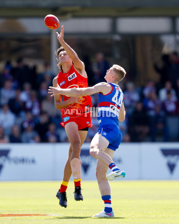 AFL 2024 Round 02 - Western Bulldogs v Gold Coast - A-46661997