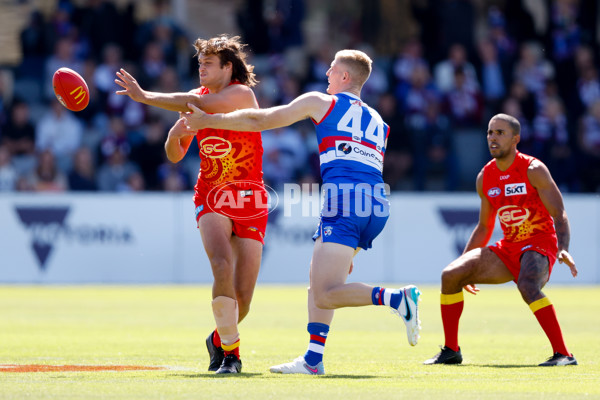 AFL 2024 Round 02 - Western Bulldogs v Gold Coast - A-46661998