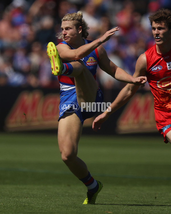 AFL 2024 Round 02 - Western Bulldogs v Gold Coast - A-46663922