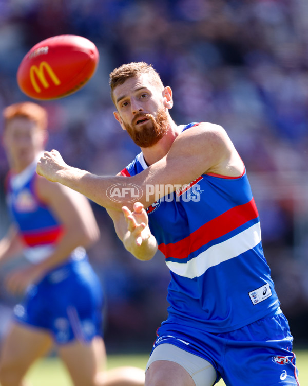 AFL 2024 Round 02 - Western Bulldogs v Gold Coast - A-46663952