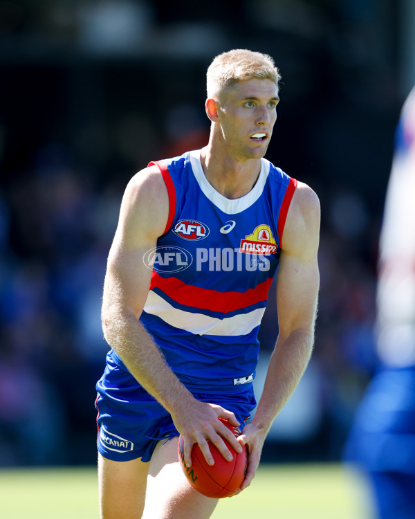 AFL 2024 Round 02 - Western Bulldogs v Gold Coast - A-46663990