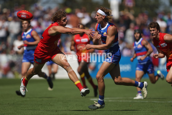 AFL 2024 Round 02 - Western Bulldogs v Gold Coast - A-46663997