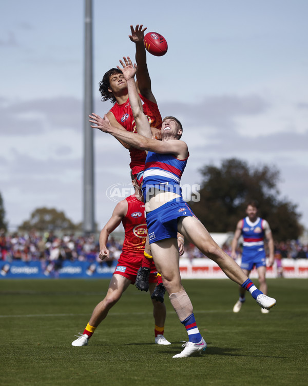 AFL 2024 Round 02 - Western Bulldogs v Gold Coast - A-46664647