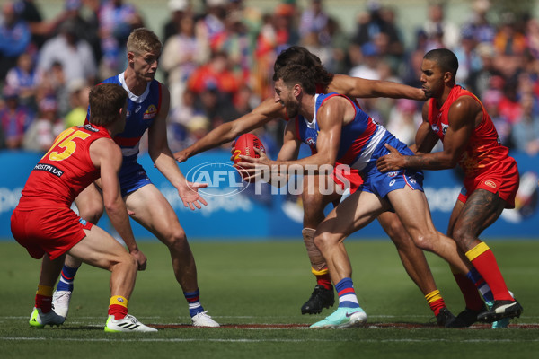 AFL 2024 Round 02 - Western Bulldogs v Gold Coast - A-46664652