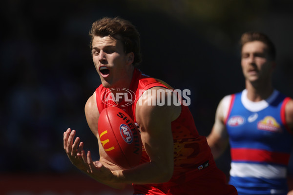 AFL 2024 Round 02 - Western Bulldogs v Gold Coast - A-46664674