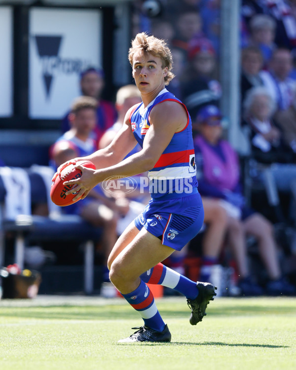 AFL 2024 Round 02 - Western Bulldogs v Gold Coast - A-46664676