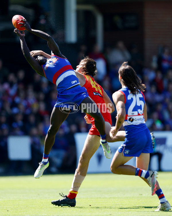 AFL 2024 Round 02 - Western Bulldogs v Gold Coast - A-46664679