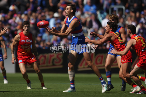 AFL 2024 Round 02 - Western Bulldogs v Gold Coast - A-46664692