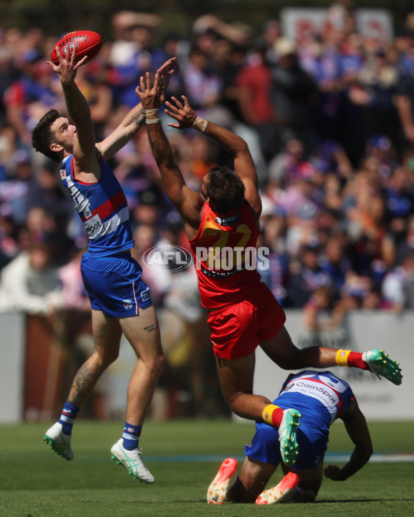 AFL 2024 Round 02 - Western Bulldogs v Gold Coast - A-46664696