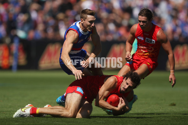 AFL 2024 Round 02 - Western Bulldogs v Gold Coast - A-46664708