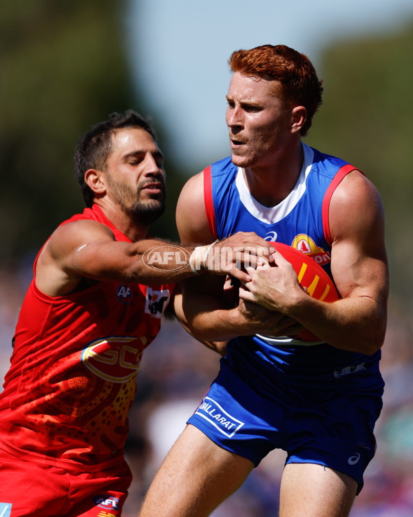 AFL 2024 Round 02 - Western Bulldogs v Gold Coast - A-46666880