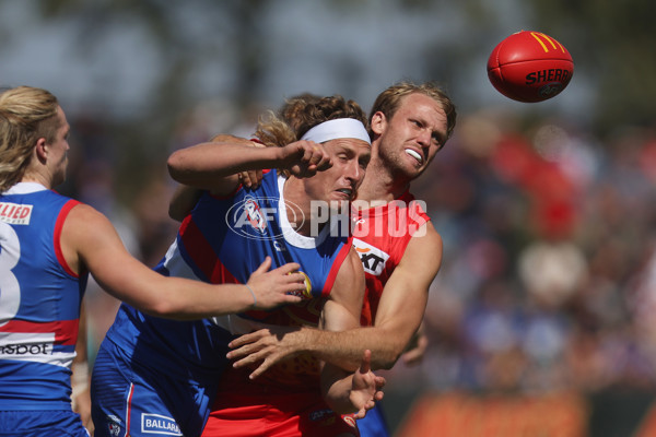 AFL 2024 Round 02 - Western Bulldogs v Gold Coast - A-46666900