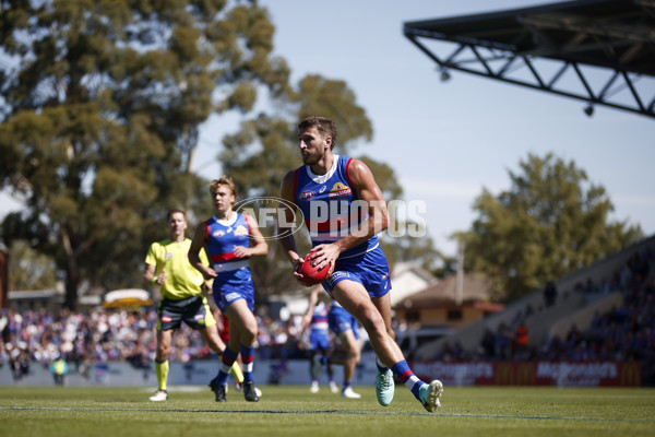 AFL 2024 Round 02 - Western Bulldogs v Gold Coast - A-46666932