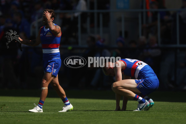 AFL 2024 Round 02 - Western Bulldogs v Gold Coast - A-46667284