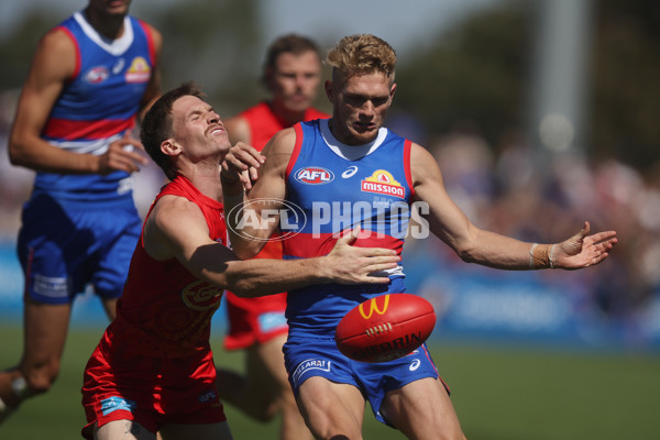 AFL 2024 Round 02 - Western Bulldogs v Gold Coast - A-46667289