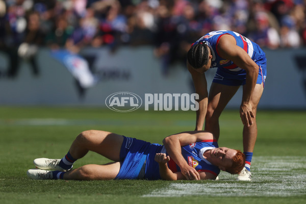 AFL 2024 Round 02 - Western Bulldogs v Gold Coast - A-46667348