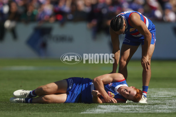 AFL 2024 Round 02 - Western Bulldogs v Gold Coast - A-46669376