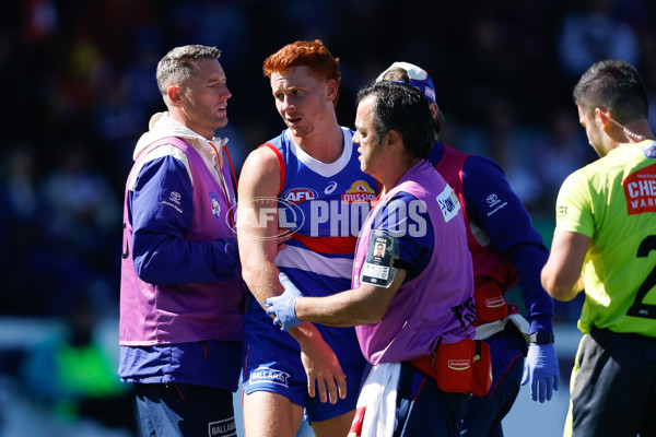 AFL 2024 Round 02 - Western Bulldogs v Gold Coast - A-46669381