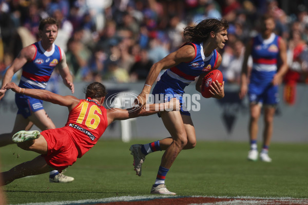 AFL 2024 Round 02 - Western Bulldogs v Gold Coast - A-46669410