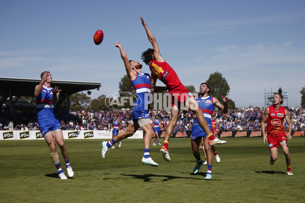 AFL 2024 Round 02 - Western Bulldogs v Gold Coast - A-46669416