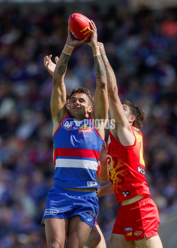 AFL 2024 Round 02 - Western Bulldogs v Gold Coast - A-46669795