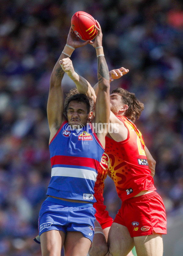 AFL 2024 Round 02 - Western Bulldogs v Gold Coast - A-46669796