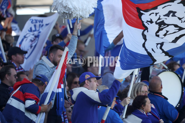 AFL 2024 Round 02 - Western Bulldogs v Gold Coast - A-46669808