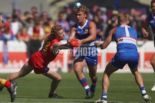 AFL 2024 Round 02 - Western Bulldogs v Gold Coast - A-46669813