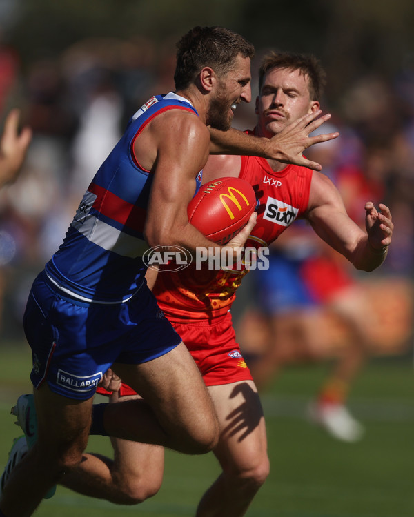 AFL 2024 Round 02 - Western Bulldogs v Gold Coast - A-46669852