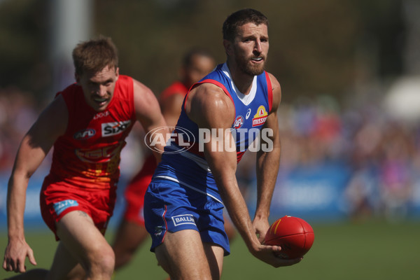 AFL 2024 Round 02 - Western Bulldogs v Gold Coast - A-46669856