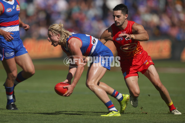 AFL 2024 Round 02 - Western Bulldogs v Gold Coast - A-46669858