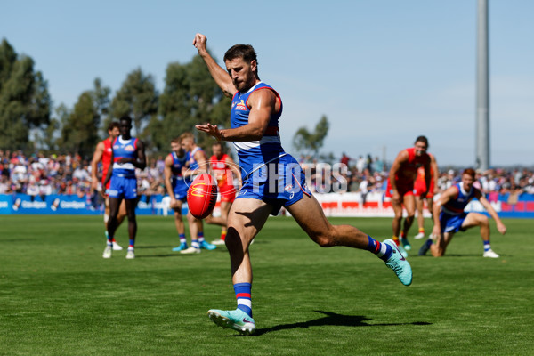 AFL 2024 Round 02 - Western Bulldogs v Gold Coast - A-46674460