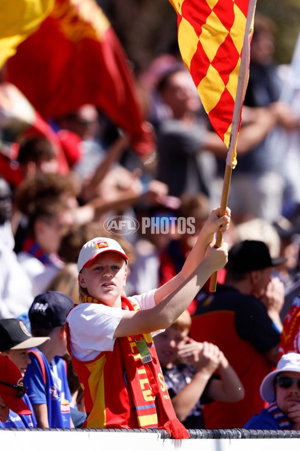 AFL 2024 Round 02 - Western Bulldogs v Gold Coast - A-46675297