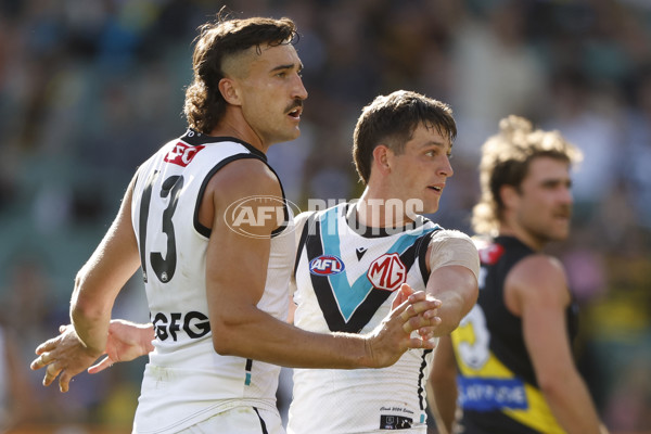 AFL 2024 Round 02 - Richmond v Port Adelaide - A-46675312