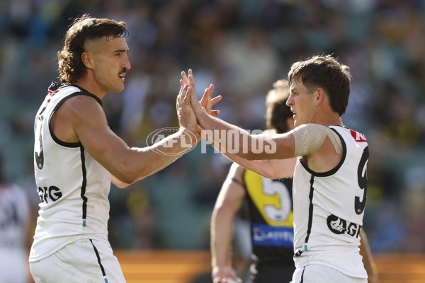 AFL 2024 Round 02 - Richmond v Port Adelaide - A-46676775