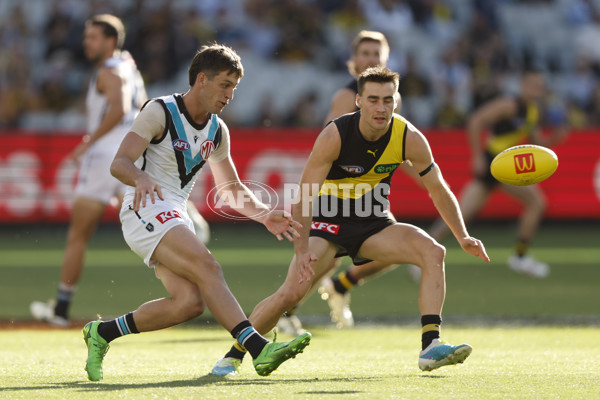 AFL 2024 Round 02 - Richmond v Port Adelaide - A-46676823