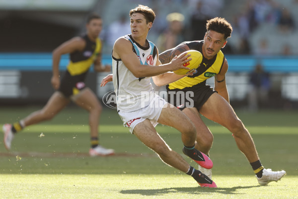 AFL 2024 Round 02 - Richmond v Port Adelaide - A-46676837