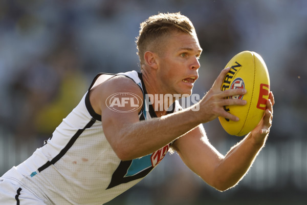 AFL 2024 Round 02 - Richmond v Port Adelaide - A-46678171