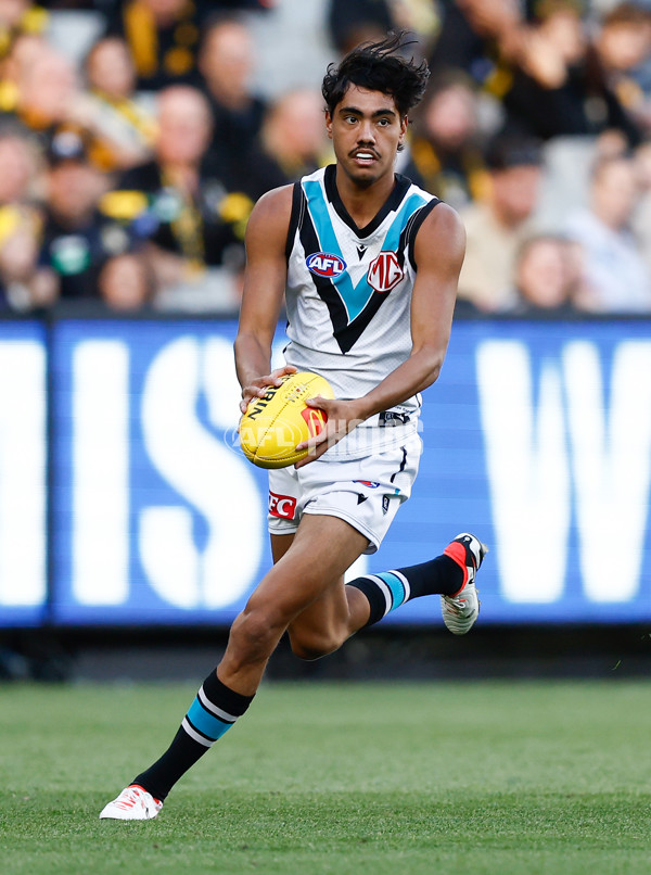 AFL 2024 Round 02 - Richmond v Port Adelaide - A-46678188