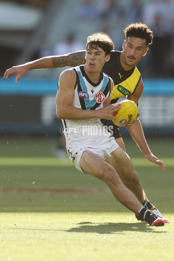 AFL 2024 Round 02 - Richmond v Port Adelaide - A-46678195