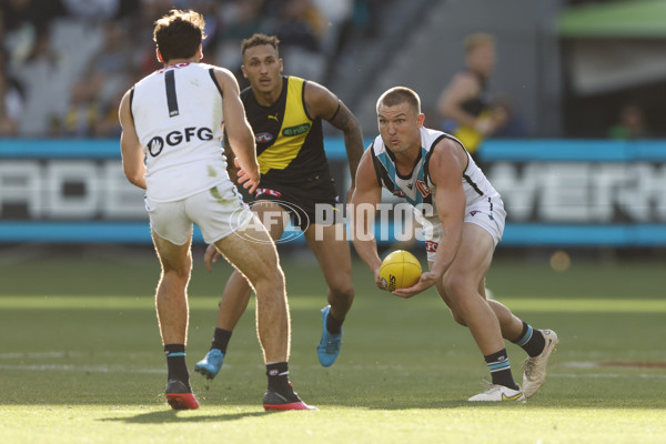 AFL 2024 Round 02 - Richmond v Port Adelaide - A-46678196